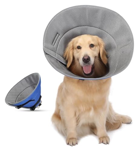 Fylldso Hundehalsband, Premium-Hundehalsband Für Hunde Und Katzen, Verstellbares Hundehalsband, Vorbeugung Von Biss- Und Leckwunden, Weiches Schutzhalsband Für Hunde Nach Operationen(Blue,XS) von Fylldso