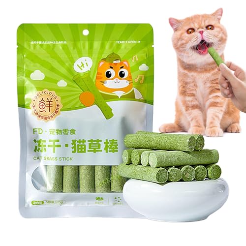 Fyrdyn Katzengras Stick Käfig Bälle | Katzenspielzeug für sanfte Haarballentfernung, Futter Zähne Reinigung Gras Stick für kleine, mittelgroße und große Katzen Besitzer von Fyrdyn