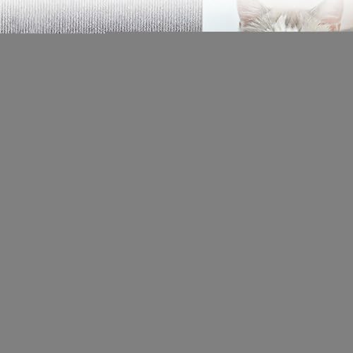 Fyrdyn Kratzmatte für Katzen, Kratzmatten für Katzen - Selbstklebende Kratzteppichmatte für - Katzenkratzer-Pad-Ersatz, Flacher Kratzteppich für Pfosten, Möbel, Kratzbaumregale Fyrdyn Kratzmatte für Katzen, Kratzmatten für Katzen - Selbstklebende Kratzteppichmatte für - Katzenkratzer-Pad-Ersatz, Flacher Kratzteppich für Pfosten, Möbel, Kratzbaumregale von Fyrdyn
