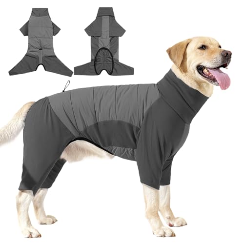 Fyrdyn Winterkleidung für Hunde, kaltes Wetter, winddicht, mit Kragen, wasserdichter Wintermantel für kleine und große Hunde, Outdoor, Wandern, Camping, Spazierengehen Fyrdyn Winterkleidung für Hunde, kaltes Wetter, winddicht, mit Kragen, wasserdichter Wintermantel für kleine und große Hunde, Outdoor, Wandern, Camping, Spazierengehen von Fyrdyn