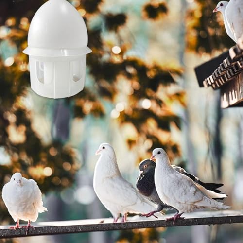 FytStycale Automatische Vogel Wasserflasche mit Mehreren Trinkstellen Stabiler Pp Behälter mit Griff Praktische Befüllung für Geflügel Sittiche Käfigausstattung, 6l von FytStycale