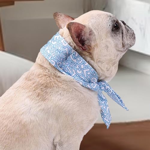 FytStycale Halskühlung für Haustiere, Kühlband für heiße Tage, ideal für Aktivitäten im Freien, Blau, M FytStycale Halskühlung für Haustiere, Kühlband für heiße Tage, ideal für Aktivitäten im Freien, Blau, M von FytStycale