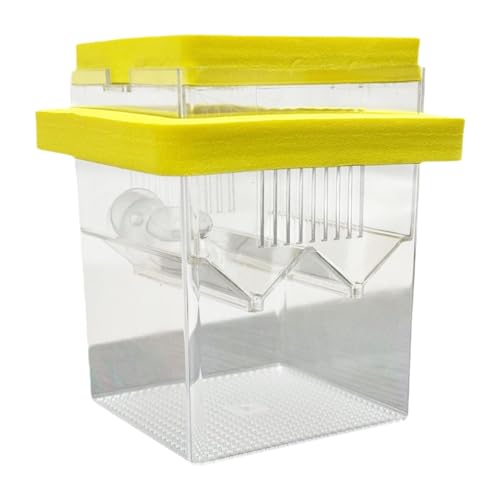 FytStycale Isolationsbehälter für Aquarienzucht von Guppy und Betta, Gelb von FytStycale