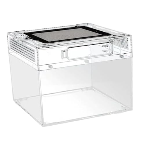 FytStycale Reptilien Terrarium Aufzuchtbox Transportbehälter Geckokasten Spinnen Terrarium mit Sicherem Schloss für Die Zucht von Skorpionen Hundertfüßern Und Wi, 20cmx20cmx15cm FytStycale Reptilien Terrarium Aufzuchtbox Transportbehälter Geckokasten Spinnen Terrarium mit Sicherem Schloss für Die Zucht von Skorpionen Hundertfüßern Und Wi, 20cmx20cmx15cm von FytStycale