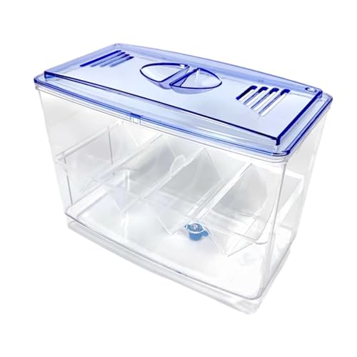 FytStycale Transparente Züchterbox für Betta und Garnelen im Fischtank von FytStycale