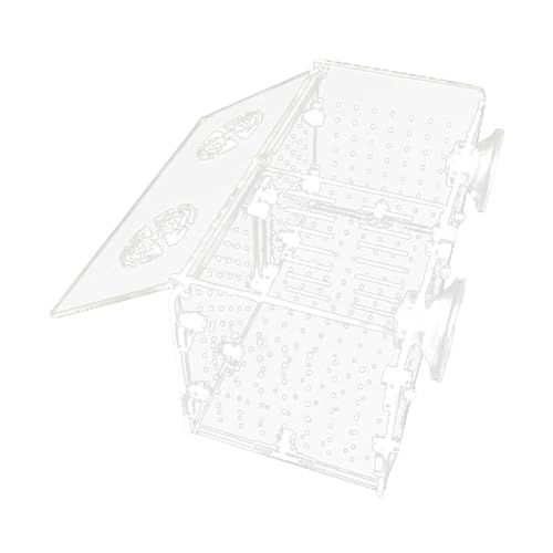 Fzaqwen Aquarium Zucht Box Separator Klar Inkubator Züchter Kranken Isolation Box für Fry Guppy Es Schildkröte Garnelen, Doppelzimmer von Fzaqwen
