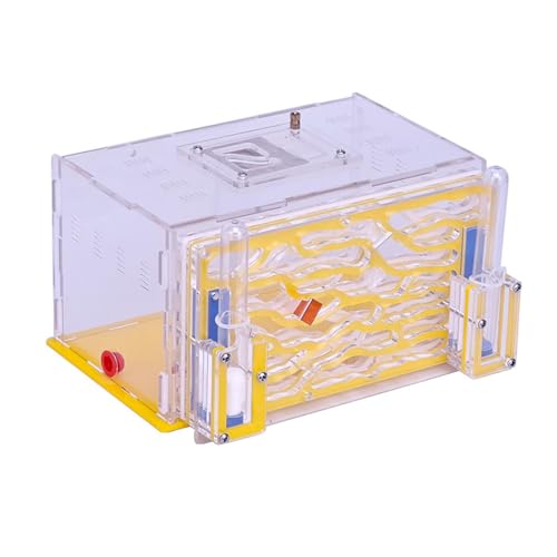 Fzaqwen Gehäuse Nest Habitat DIY Supplies Lernen Villa Zucht Fall Display Box für Geburtstag Home Kindertag Geschenk Liebhaber, Gelb Fzaqwen Gehäuse Nest Habitat DIY Supplies Lernen Villa Zucht Fall Display Box für Geburtstag Home Kindertag Geschenk Liebhaber, Gelb von Fzaqwen