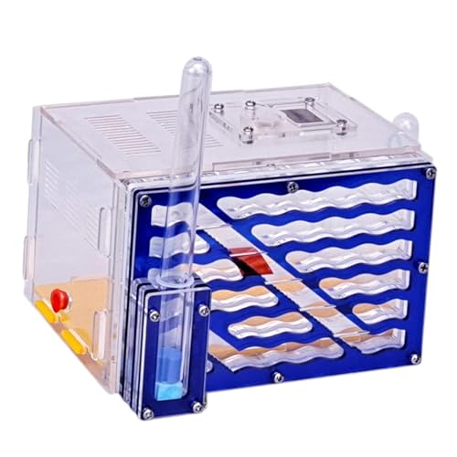 Fzaqwen Gehäuse Nest Villa Acryl Display Box für Kindertag Liebhaber Dekor von Fzaqwen