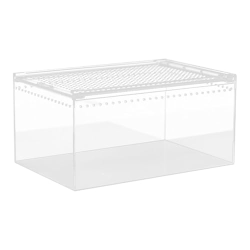 Fzaqwen Transparente Habitatbox für Reptilien wie Einsiedlerkrebse, 30cmx20cmx15cm Fzaqwen Transparente Habitatbox für Reptilien wie Einsiedlerkrebse, 30cmx20cmx15cm von Fzaqwen