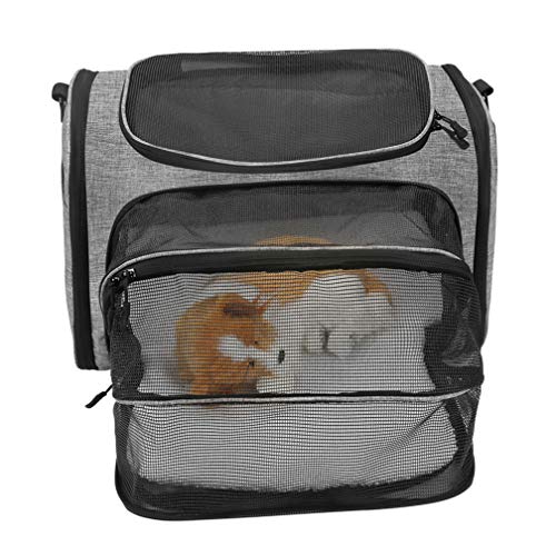 BigForest Haustier-Rucksack für kleine Katzen und Hunde, belüftetes Design, Reisetasche, Handtasche, Wandern & Outdoor von G-Petbag