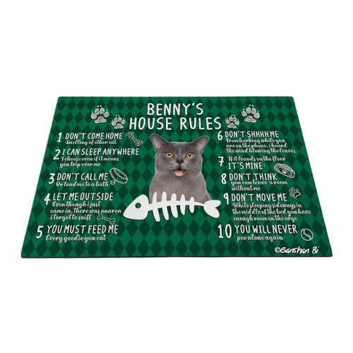 GABSHAIM Fußmatte mit lustiger Katze, Motiv: Katzenhaus, Pfoten, grünes Büffelkaro, dekorative Bodenmatte, 69,8 x 45 cm, Stil 3 GABSHAIM Fußmatte mit lustiger Katze, Motiv: Katzenhaus, Pfoten, grünes Büffelkaro, dekorative Bodenmatte, 69,8 x 45 cm, Stil 3 von GABSHAIM