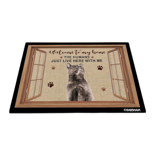 GABSHAIM Germanrex Fußmatte mit Aufschrift "Welcome to Dog House", lustige Katze am Fenster, Fußmatte, Heimdekoration für Katzenliebhaber, 80 x 50 cm von GABSHAIM