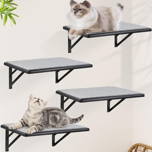 Katzen-Wandregale 4er Set, Purrfect Katzenmöbel Set - 4 Stück Holz Wandregale mit Kratzpad, Schlaf- & Spielbereich, Fensterstange für große Katzen - Schwarz von GADKE