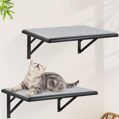 Kratzbäume Katzenregale Wandhalterung Katzenwand Möbel Katzenkratzbaum Kratzbäume Katzenregale Wandhalterung Katzenwand Möbel Katzenkratzbaum von GADKE