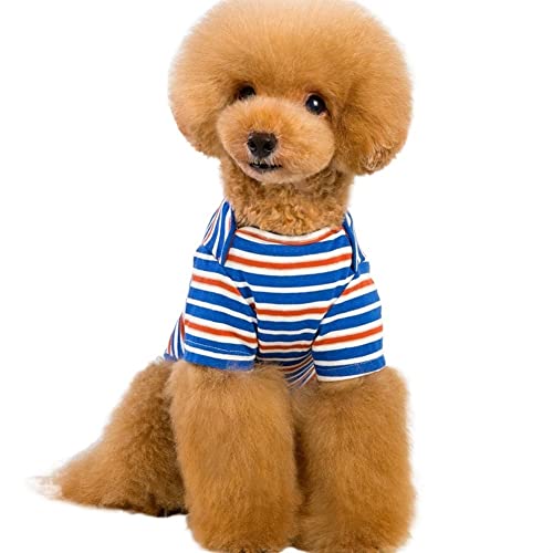 Haustier Hund Kleidung Kleidung Bunte Streifen Pullover Katze Leicht Niedlich Cool Für Teddy Sommer (Color : Blau, Size : 2XL) von GAGMXE