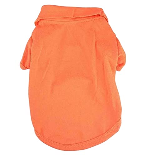 Haustier-Hundekleidung, kurzärmeliges leeres Poloshirt, einfarbig, Knopfpullover, Kleiner Hund, weich berührend, niedlich, lässig für Bichon, Herbst (Color : Orange, Size : XS) von GAGMXE