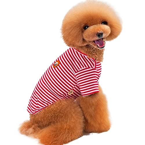 Haustierkleidung, Hemd, Streifen, Pullover, Kurze Ärmel, Katze, Kleiner Hund, einfacher Stil, bequem, leicht, für Teddy, Herbst (Color : rot, Size : XL) von GAGMXE