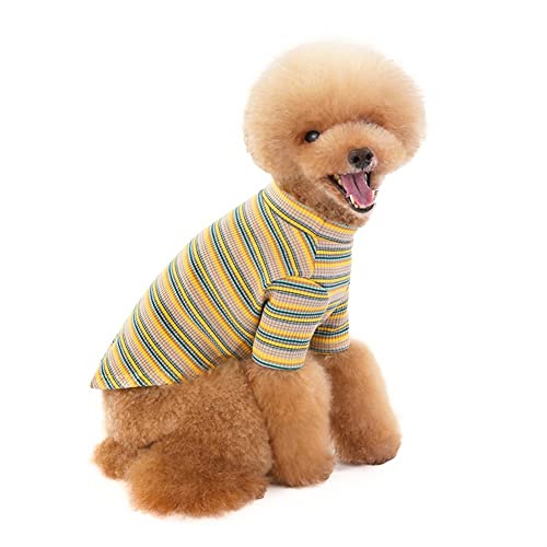 Haustierkleidung, Regenbogen-Streifen-Kintted-Pullover, Kleiner Hund, weich berührend, niedlich für Chihuahua-Sommer (Color : Light Green, Size : S) von GAGMXE
