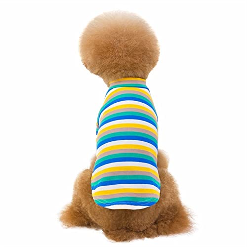 Haustierkleidung, bunter Pullover, gestrickte Streifen, Katze, dehnbares Material, leicht, für Teddy, Herbst (Color : Grün, Size : S) von GAGMXE