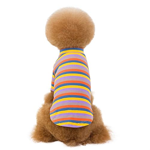 Haustierkleidung, bunter Pullover, gestrickte Streifen, Katze, dehnbares Material, leicht, für Teddy, Herbst (Color : Purple, Size : 2XL) von GAGMXE