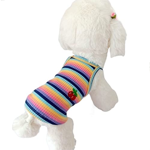 Hund Haustier Shirt Kleidung Weste Regenbogen gestreift Kirsche Muster Welpe Katze niedlich dehnbares Material für Bulldogge Frühling (Color : Blau, Size : 2XL) von GAGMXE