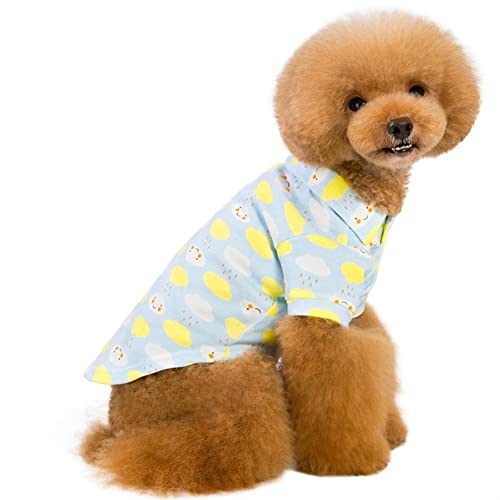 Hunde-Shirt, Pullover, Polos, bunt, bewölkt, Bedruckt, Katze, niedlich, leicht, cool für Bulldoggen-Herbst (Color : Blau, Size : L) von GAGMXE