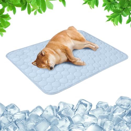 GAIALYST Kühlmatte für Hunde, Kühldecke Kund,Kühldecke Katze, Sommerkühlpads Haustiermatte für Hunde & Katzen, Waschmaschinenfest (Hellblau, XXL(150 * 100cm)) von GAIALYST