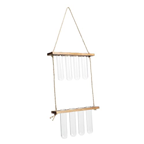 GALPADA 1 Satz Wandmontierthydroponischhydroponisch Wandausbreitungsrohr Anlage Vase Für Zimmerpflanzen Drinnen Leben Wandhängendes Terrarium Wand-hydrokultur-pflanzgefäß Glas Coffee von GALPADA