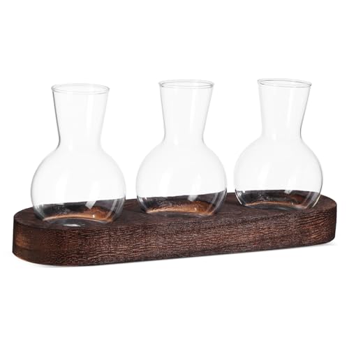 GALPADA 1 Set Plant Terrarium Kit Desktop Hydroponics Pflanzer Glas Klarer Vase -ausbreitung Flasche Tisch Vase -herzstück Mit Basis von GALPADA