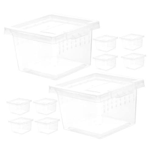 GALPADA 10 Stück Transparente Reptilien Transportbox aus Robustem Kunststoff mit Belüftungslöchern Praktisches Terrarium für Echsen Spinnen Bartagamen und Insekten Leicht zu Reinigen und von GALPADA