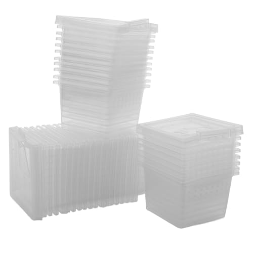 GALPADA 100 Stück Boxen Futterbox Für Haustiere Klein Futterboxen Spinnengehege Schildkrötenpanzer Reptilien Insekt Schlange Schildkrötengehege Drinnen Zucht Tank Pp Transparent von GALPADA