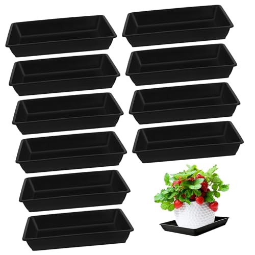 GALPADA 12 Stück Blumentopf Untersetzer Gartentablett Sukkulenten Rechteckige Pflanzenuntersetzer Tropfmatten Pflanzentablett Quadratischer Pflanztopf Blumentopfplatten Trockenes von GALPADA