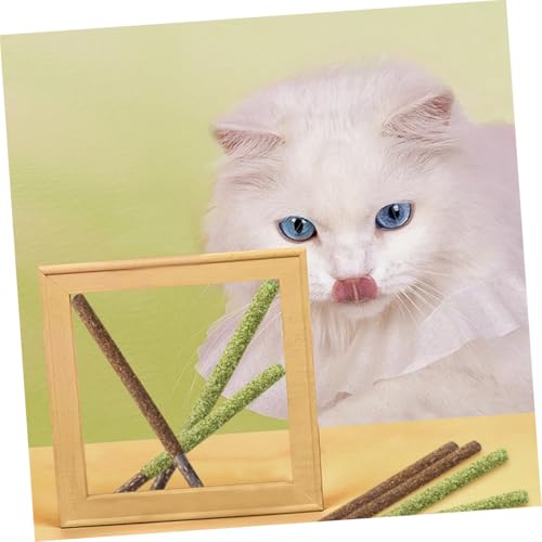 GALPADA 12 Stück Teiliges Katzenspielzeug mit Essbaren Sticks und Katzenminze zur Stresslinderung Fördert Zahnpflege und Gute bei Katzen Interaktives Kausticks GALPADA 12 Stück Teiliges Katzenspielzeug mit Essbaren Sticks und Katzenminze zur Stresslinderung Fördert Zahnpflege und Gute bei Katzen Interaktives Kausticks von GALPADA