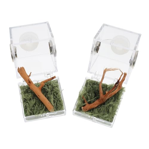 GALPADA Spinnenhabitat Kasten Für Kleine Haustiere Tragbare Spinnenbox Kunststoff Terrarium Kleiner Terrarien Für Insekten Für Haltung Von Springspinnen von GALPADA