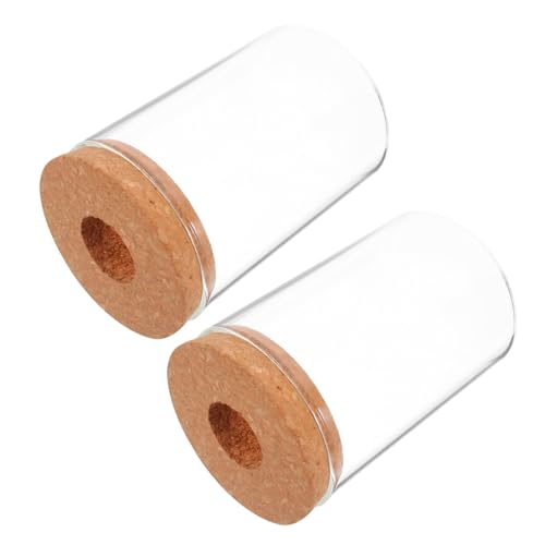 GALPADA 2 Stück Glas Terrarium Vase Transparent Kleiner Pflanzentopf Hydrokultur Flaschengarten Mikro Landschaft Dekoration für Büro und Zuhause GALPADA 2 Stück Glas Terrarium Vase Transparent Kleiner Pflanzentopf Hydrokultur Flaschengarten Mikro Landschaft Dekoration für Büro und Zuhause von GALPADA