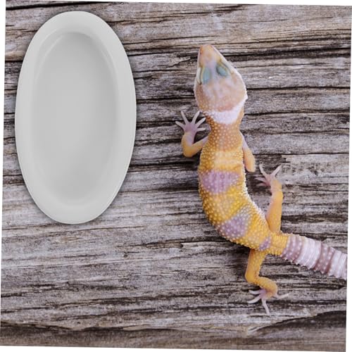 GALPADA 2 Stück Keramik Napf für Reptilien Stabiler Futter Wassernapf Kippsichere Schale für Eidechsen Geckos Schildkröten und Amphibien Umweltfreundlich und Sicher für Terrarienpflege GALPADA 2 Stück Keramik Napf für Reptilien Stabiler Futter Wassernapf Kippsichere Schale für Eidechsen Geckos Schildkröten und Amphibien Umweltfreundlich und Sicher für Terrarienpflege von GALPADA