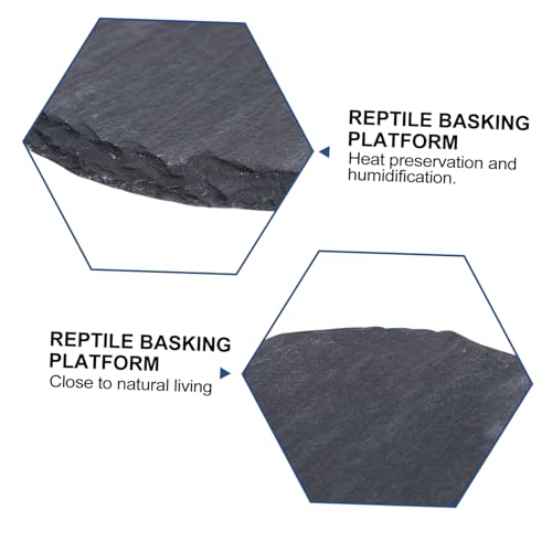 GALPADA 2 Stück Natürliche Reptilien sonnenplattform aus Stein rutschfeste Schildkröten Eidechsen badschale mit Natürlicher Textur Kletterbare Futter Ruhefläche für Terrarien und GALPADA 2 Stück Natürliche Reptilien sonnenplattform aus Stein rutschfeste Schildkröten Eidechsen badschale mit Natürlicher Textur Kletterbare Futter Ruhefläche für Terrarien und von GALPADA