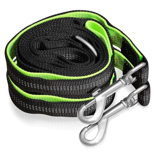 GALPADA 2 Stück Reflektierende Hundeleinen aus Strapazierfähigem Nylon mit Drehkarabiner Verschleißfest Flexibel und Sicher für Hunde Katzenhalter bei Nachtspaziergängen GALPADA 2 Stück Reflektierende Hundeleinen aus Strapazierfähigem Nylon mit Drehkarabiner Verschleißfest Flexibel und Sicher für Hunde Katzenhalter bei Nachtspaziergängen von GALPADA