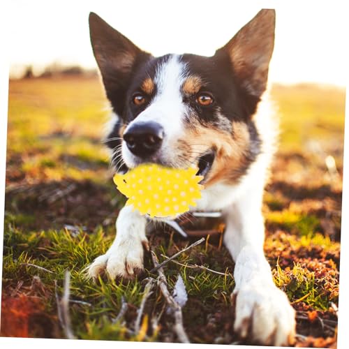 GALPADA 2 Stück Süßes Igel Quietschspielzeug aus Langlebigem Latex Kauspielzeug für Kleine bis Mittlere Hunde und Katzen Fördert Zahnpflege und Beschäftigung als Welpen von GALPADA
