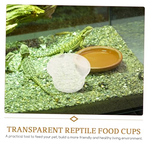 GALPADA 20 Stück Teiliges Transparentes Reptilien futternapf Kompakte rutschfeste Wasserschalen für Echsen Geckos Bartagamen Leichte Langlebige Futter Trinkschalen für Tägliche Nutzung GALPADA 20 Stück Teiliges Transparentes Reptilien futternapf Kompakte rutschfeste Wasserschalen für Echsen Geckos Bartagamen Leichte Langlebige Futter Trinkschalen für Tägliche Nutzung von GALPADA