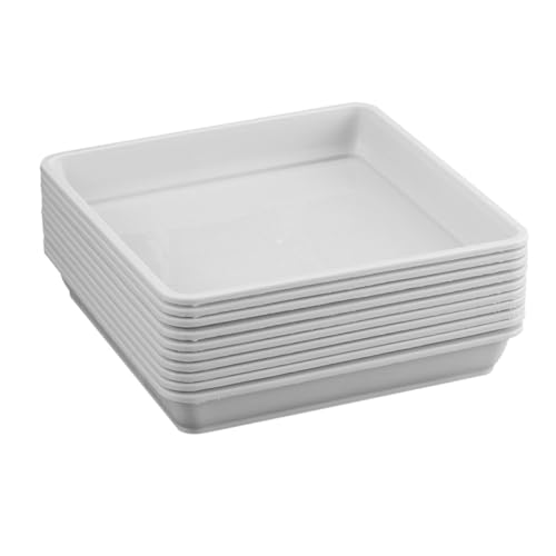 GALPADA 20 Stück Wiederverwendbare Pflanzen-untertasse, Pflanzgefäß, Entwässerung, Quadratische Untertasse, Praktische Pflanzen-tablett, Bonsai-Kunststoff-tablett GALPADA 20 Stück Wiederverwendbare Pflanzen-untertasse, Pflanzgefäß, Entwässerung, Quadratische Untertasse, Praktische Pflanzen-tablett, Bonsai-Kunststoff-tablett von GALPADA