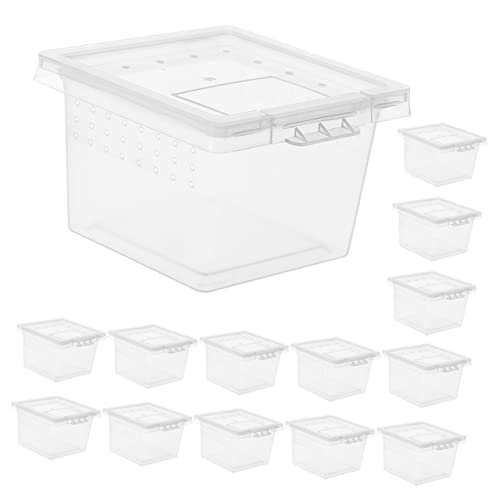 GALPADA 20er-Box Futterbox Für Haustiere Schildkrötengehege Reptiliengehäuse Fütterung Vivarium Klein Schildkröten-Aquarium Schildkrötenhaus Reptilienterrarium Transparent Pp von GALPADA