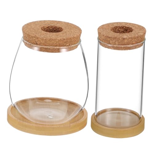 GALPADA 2stücke Anzuchtröhren Aus Glas Mit Korkdeckel Und Tablett Hydroponisches Pflanzgefäß Terrarium Für Kleine Pflanzen Für Hydrokultur GALPADA 2stücke Anzuchtröhren Aus Glas Mit Korkdeckel Und Tablett Hydroponisches Pflanzgefäß Terrarium Für Kleine Pflanzen Für Hydrokultur von GALPADA