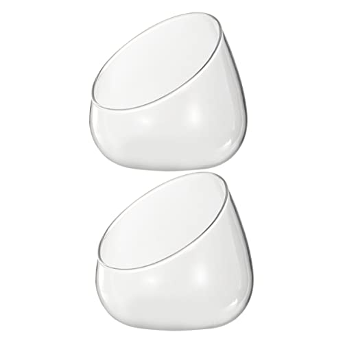 GALPADA 2Stücke Mikrolandschaftsflasche Multifunktionale Glasvasen Für Dekoration Für Kleine Aufbewahrung Und Raumgestaltung Transparentes Design von GALPADA