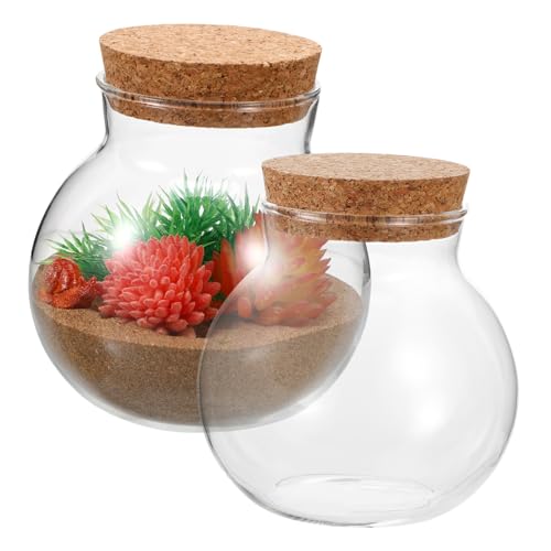 GALPADA 2Stücke Ökologische Glasflasche Aufbewahrungsbehälter Landschaftsbau Behälter Mit Korkverschluss Für Deko Und Pflanzenpflege von GALPADA