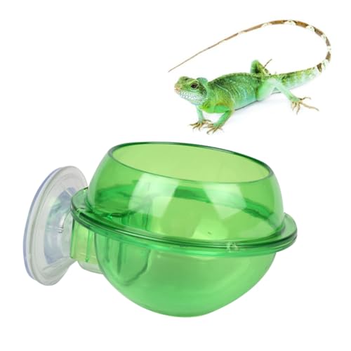 GALPADA 2Stücke Reptilien Trinkwerkzeug Teilig Saugnapf Wasserschale aus Praktische Futterschale für Reptilien zu Installieren Reinigen von GALPADA