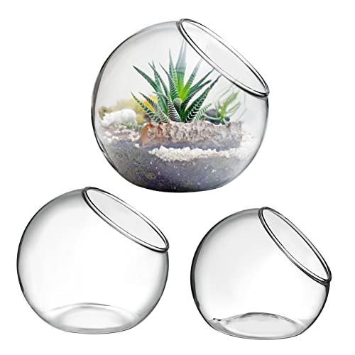 GALPADA 3Stücke Terrarium Für Luftpflanzen Und Sukkulenten Dekorative Pflanzbehälter von GALPADA