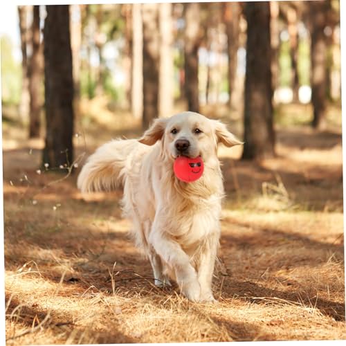 GALPADA 4 Stück Interaktives Hundespielzeug Bouncy Kauball für Kleine Hunde Widerstandsfähig und Beißfest zur Stressreduzierung und Beschäftigung von Welpen GALPADA 4 Stück Interaktives Hundespielzeug Bouncy Kauball für Kleine Hunde Widerstandsfähig und Beißfest zur Stressreduzierung und Beschäftigung von Welpen von GALPADA