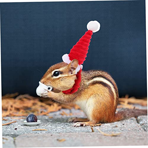 GALPADA 4 Stück Teiliges Haustier Weihnachtsmütze und Schal für Kleine Tiere Wie Kaninchen Hamster Meerschweinchen Langlebiges Material Festliches Cosplay und Partyzubehör von GALPADA