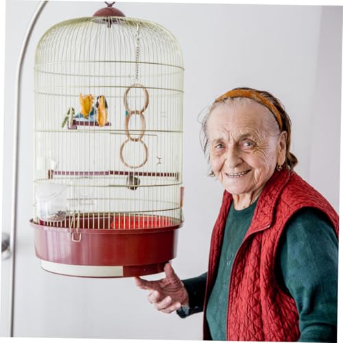 GALPADA 4 Stück Teiliges Multifunktionales Tauben Küken futtertrog Robustem Auslaufsicher und Leicht zu Reinigen für Haushalte und Vogelkäfige GALPADA 4 Stück Teiliges Multifunktionales Tauben Küken futtertrog Robustem Auslaufsicher und Leicht zu Reinigen für Haushalte und Vogelkäfige von GALPADA